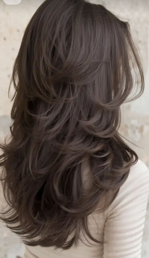 Style de cheveux mi-long dégradé moderne