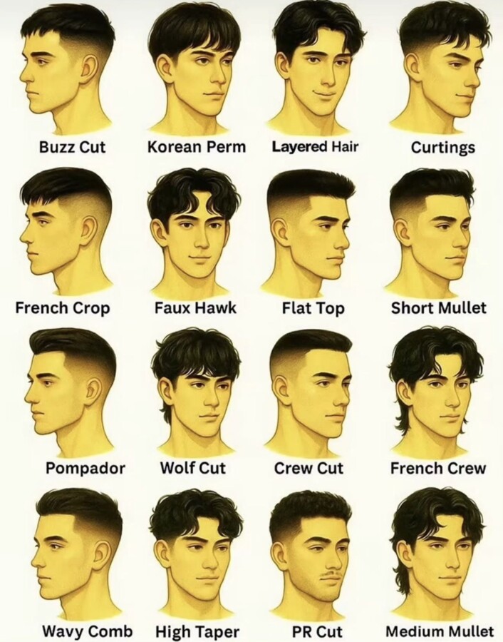 coiffure homme cheveux courts