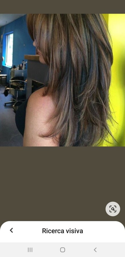 cheveux mi-longs effilés